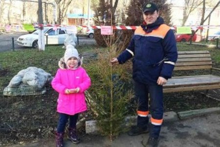 Одесситы уже сдали более 500 елок на переработку (фото)