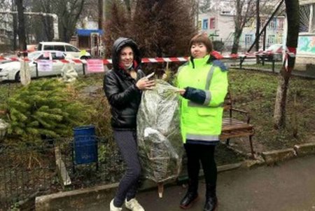 Одесситы уже сдали более 500 елок на переработку (фото)