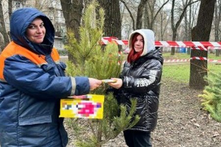 Одесситы уже сдали более 500 елок на переработку (фото)