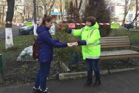 Одесситы уже сдали более 500 елок на переработку (фото)