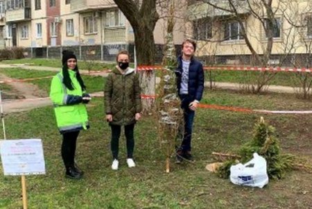Одесситы уже сдали более 500 елок на переработку (фото)
