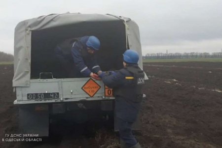 Под Одессой спасатели обнаружили 33 взрывоопасных предмета времен Второй мировой войны (фото)