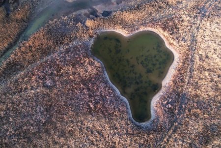 Природная сказка в низовьях Тилигульского лимана радует глаз даже зимой (фото)