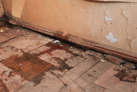 В будущем музее-квартире Жванецкого активно ведутся ремонтные работы (фото, видео)