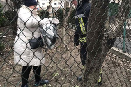 В Киевском и Суворовском районах спасли двух котов (фото)