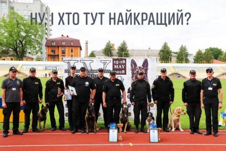 На Одесской таможне проводят виртуальный флешмоб «Любимый носик – 2021»: можно ставить лайки служебным собакам (фото, видео)