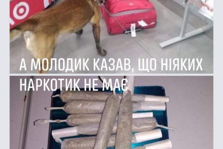 На Одесской таможне проводят виртуальный флешмоб «Любимый носик – 2021»: можно ставить лайки служебным собакам (фото, видео)