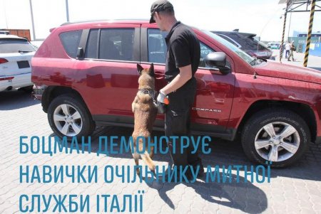 На Одесской таможне проводят виртуальный флешмоб «Любимый носик – 2021»: можно ставить лайки служебным собакам (фото, видео)