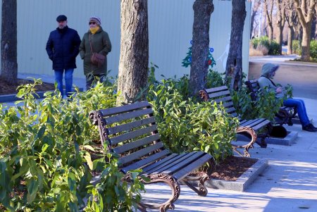 Одесситы и гости города уже могут прогуляться по обновленному бульвару Жванецкого (фоторепортаж) 