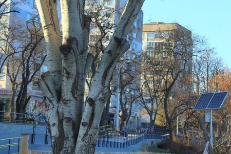 Одесситы и гости города уже могут прогуляться по обновленному бульвару Жванецкого (фоторепортаж) 