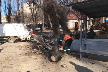 Коммунальщики привели в порядок склоны вокруг Курсантской лестницы на Балковской (фото)