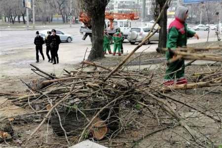 Коммунальщики привели в порядок склоны вокруг Курсантской лестницы на Балковской (фото)