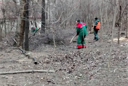 Коммунальщики привели в порядок склоны вокруг Курсантской лестницы на Балковской (фото)