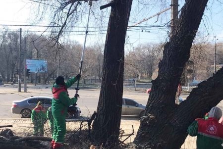 Коммунальщики привели в порядок склоны вокруг Курсантской лестницы на Балковской (фото)