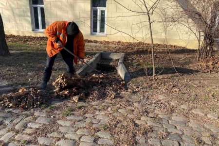 Коммунальщики за неделю очистили десятки улиц, дождеприемников и каналов (фото)