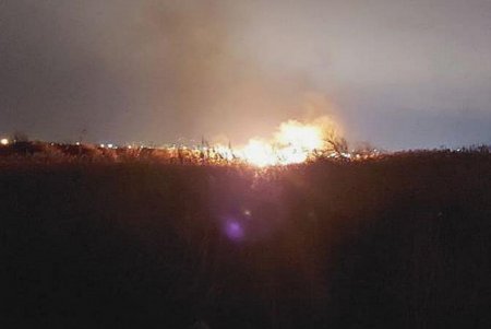 В Суворовском районе Одессы горели поля фильтрации (фото)