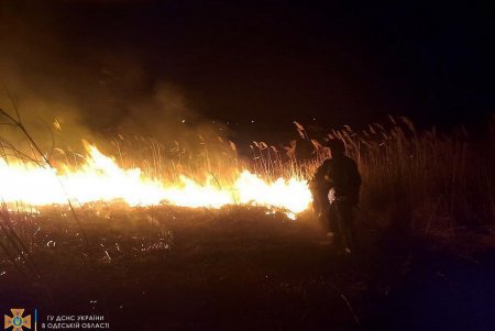 В Суворовском районе Одессы горели поля фильтрации (фото)