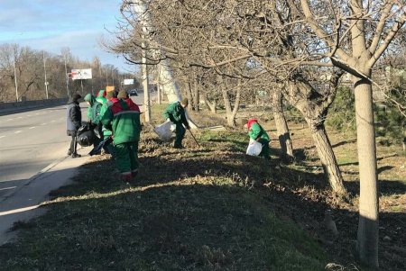 Коммунальщики вывезли пять самосвалов мусора с Киевского шоссе (фото)