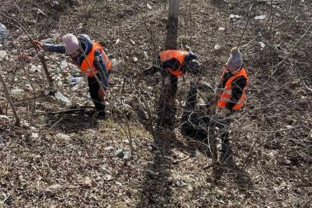 Коммунальщики вывезли пять самосвалов мусора с Киевского шоссе (фото)