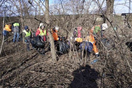 Коммунальщики вывезли пять самосвалов мусора с Киевского шоссе (фото)