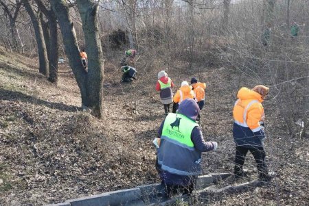 Коммунальщики вывезли пять самосвалов мусора с Киевского шоссе (фото)