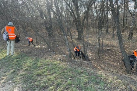 Коммунальщики вывезли пять самосвалов мусора с Киевского шоссе (фото)