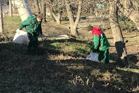 Коммунальщики вывезли пять самосвалов мусора с Киевского шоссе (фото)