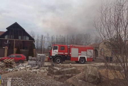 В Одесской области в районе села Маяки горят плавни (видео, фото, обновлено)
