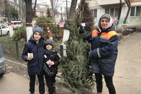 За выходные жители города сдали в пункты приема около тысячи новогодних елок (фото)