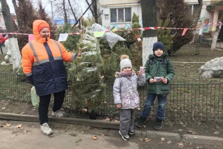 За выходные жители города сдали в пункты приема около тысячи новогодних елок (фото)
