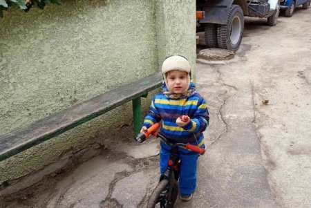 За выходные жители города сдали в пункты приема около тысячи новогодних елок (фото)