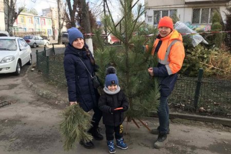 За выходные жители города сдали в пункты приема около тысячи новогодних елок (фото)
