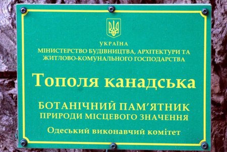 Торговая: старинные дома, базар и неповторимая атмосфера (фоторепортаж) 