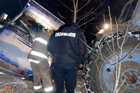 Спасатели вытащили из кювета микроавтобус, перевозивший двух коров (фото)