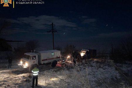 Спасатели вытащили из кювета микроавтобус, перевозивший двух коров (фото)