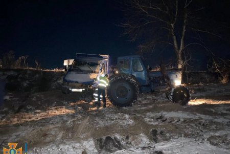 Спасатели вытащили из кювета микроавтобус, перевозивший двух коров (фото)