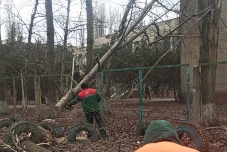 Разгул стихии в Одессе: почти 20 деревьев рухнули, зафиксированы обрывы проводов (фото)