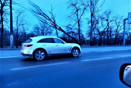 Разгул стихии в Одессе: почти 20 деревьев рухнули, зафиксированы обрывы проводов (фото)
