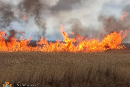 Спасатели ликвидировали возгорание зарослей вдоль Днестровского лимана на площади в один гектар (фото)
