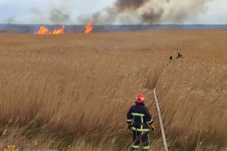 Спасатели ликвидировали возгорание зарослей вдоль Днестровского лимана на площади в один гектар (фото)