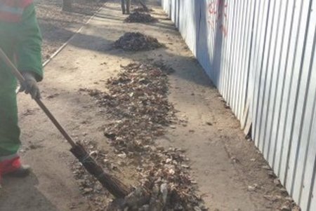 Одесские озеленители благоустраивают зеленые зоны города (фото)