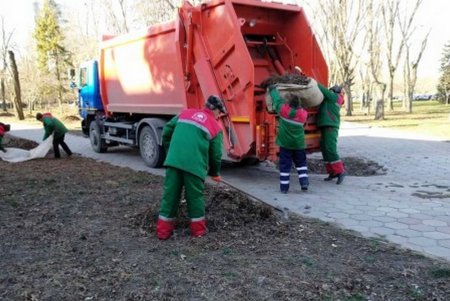 Одесские озеленители благоустраивают зеленые зоны города (фото)
