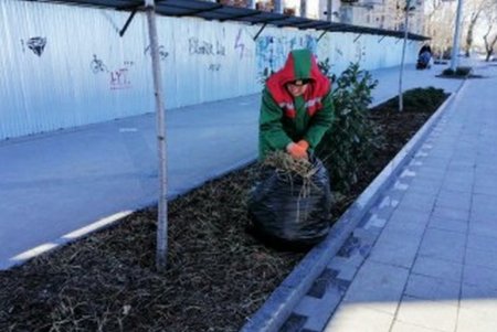Одесские озеленители благоустраивают зеленые зоны города (фото)