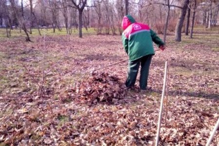 Одесские озеленители благоустраивают зеленые зоны города (фото)