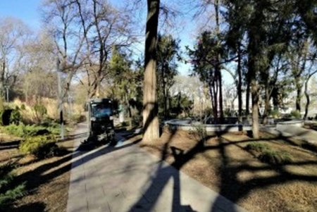 Одесские озеленители благоустраивают зеленые зоны города (фото)