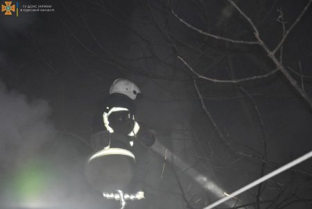 От огня в жилом доме на Софиевской пожарные спасли двух кошек и собаку (фото)