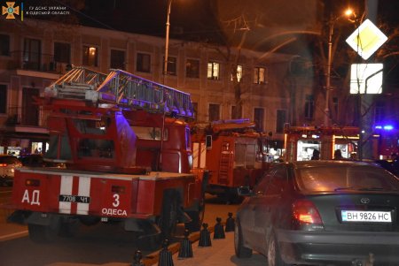 От огня в жилом доме на Софиевской пожарные спасли двух кошек и собаку (фото)