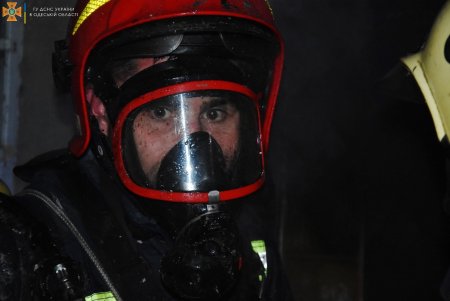 От огня в жилом доме на Софиевской пожарные спасли двух кошек и собаку (фото)