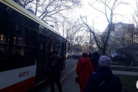 На Адмиральском проспекте остановилось движение трех троллейбусных маршрутов