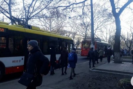 На Адмиральском проспекте остановилось движение трех троллейбусных маршрутов